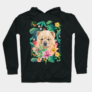 Tropical Cinnamon Chow Chow Puppy 1 Hoodie